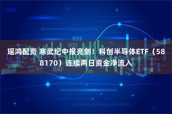 瑶鸿配资 寒武纪中报亮剑！科创半导体ETF（588170）连续两日资金净流入