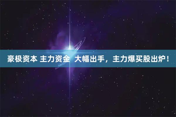 豪极资本 主力资金  大幅出手，主力爆买股出炉！
