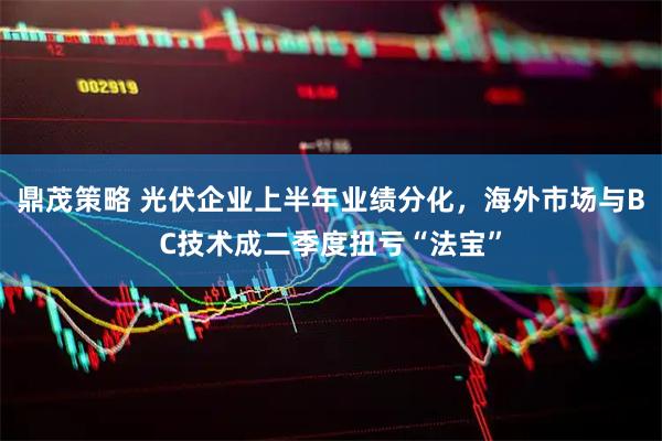 鼎茂策略 光伏企业上半年业绩分化，海外市场与BC技术成二季度扭亏“法宝”