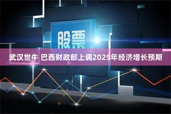 武汉世牛 巴西财政部上调2025年经济增长预期