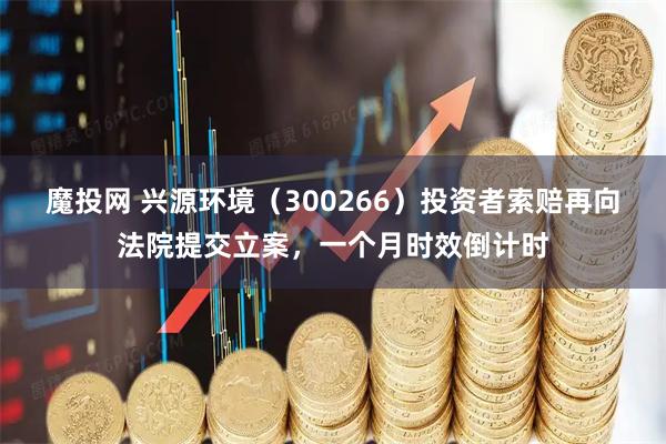 魔投网 兴源环境（300266）投资者索赔再向法院提交立案，一个月时效倒计时