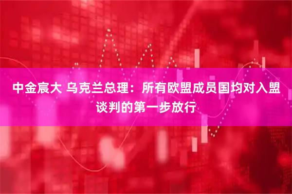 中金宸大 乌克兰总理：所有欧盟成员国均对入盟谈判的第一步放行